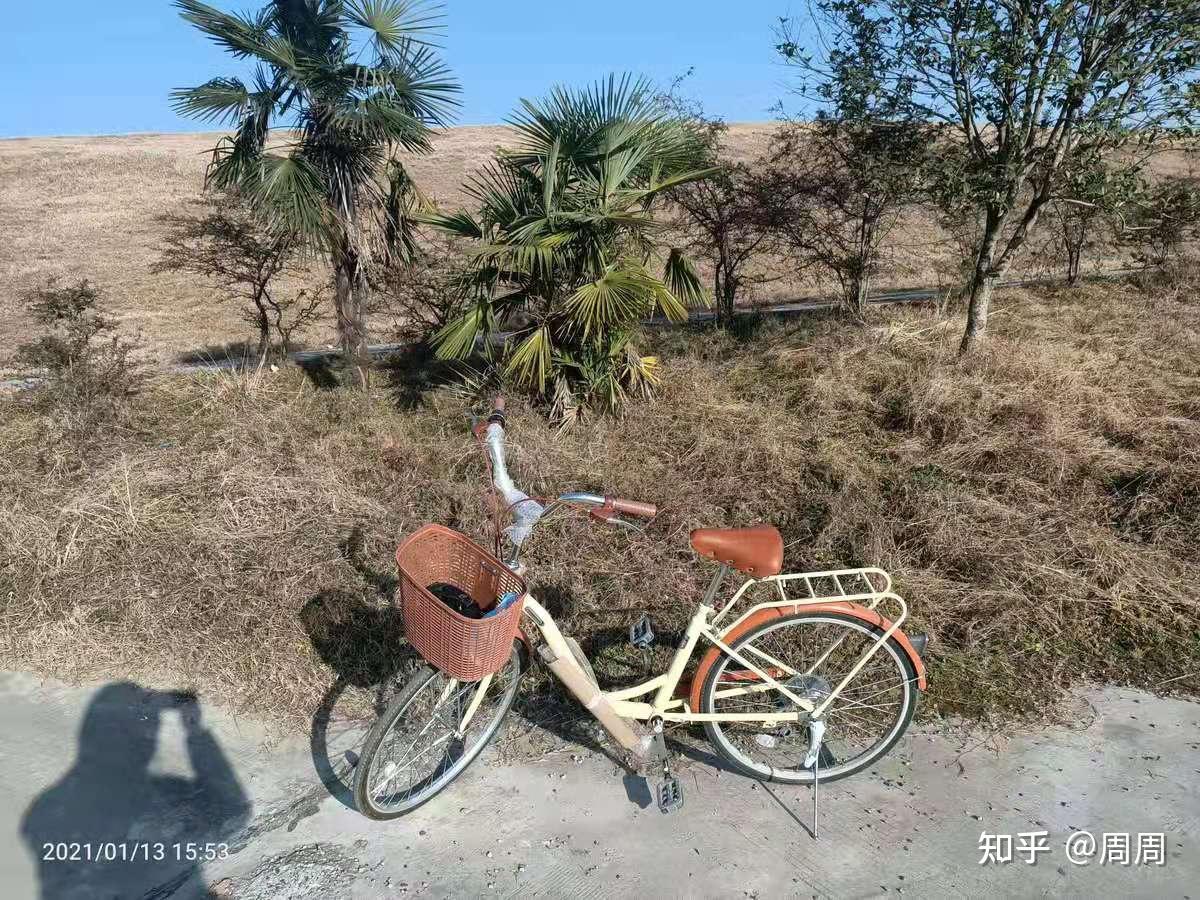 自行车品牌推荐低价格 v2-2f264320070d9a124c2c9653371afd75_r.jpg