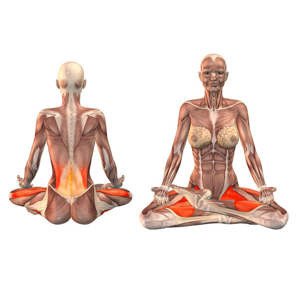 如何练习双盘腿打坐? - 知乎