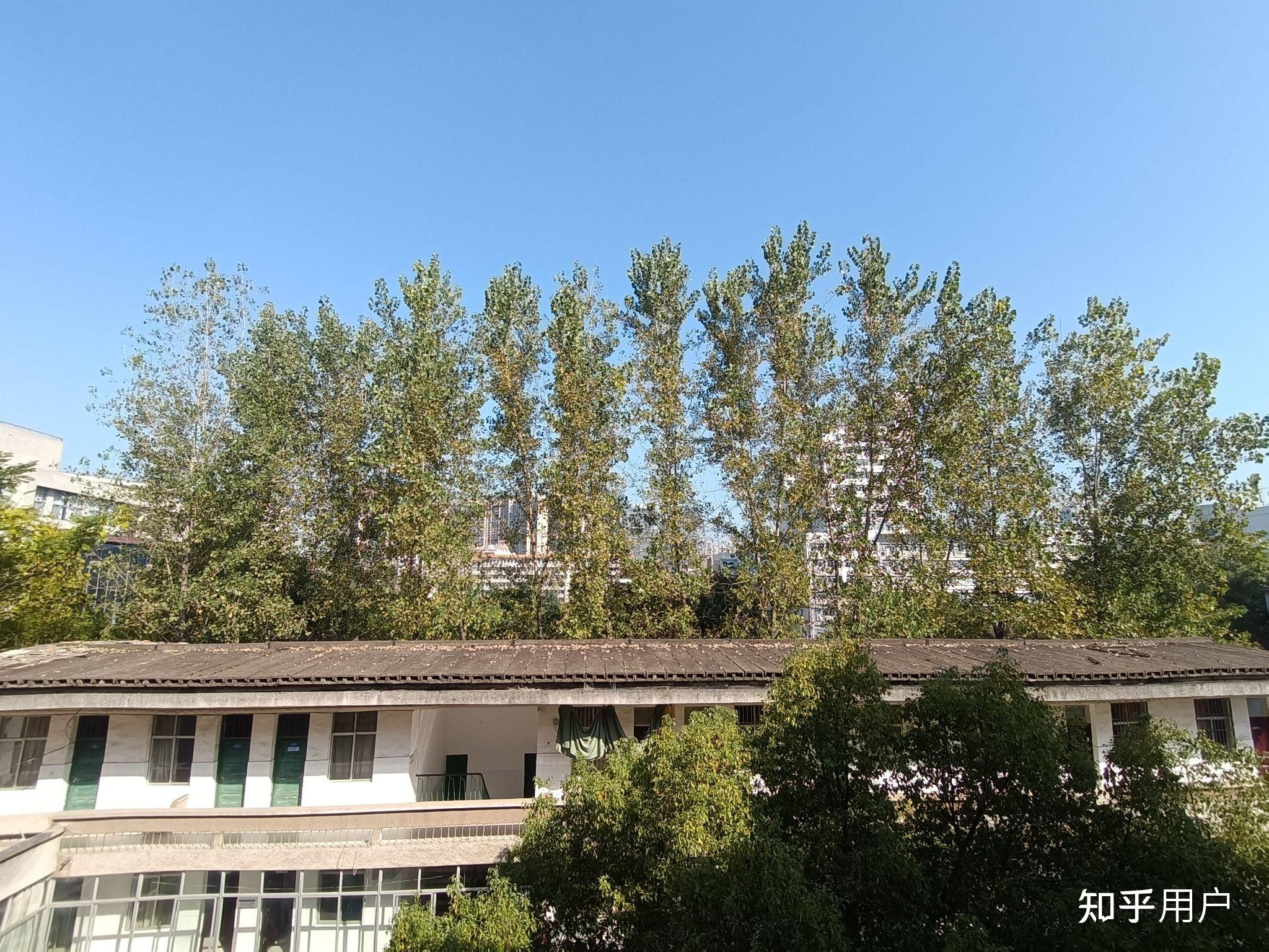 在南华大学船山学院就读是什么体验? - 知乎