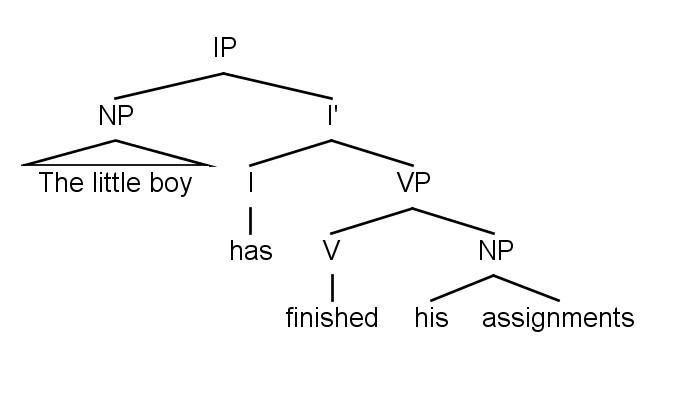 这个句子用x-bar树形图怎么画? - 知乎