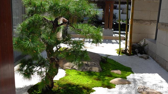 景观树价格3万到4万