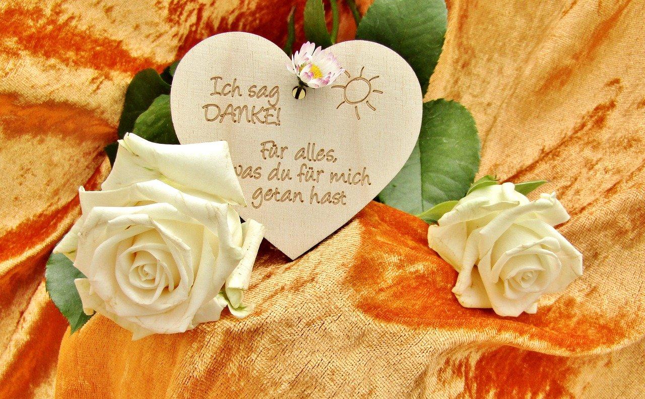 收到的玫瑰鲜花怎么养