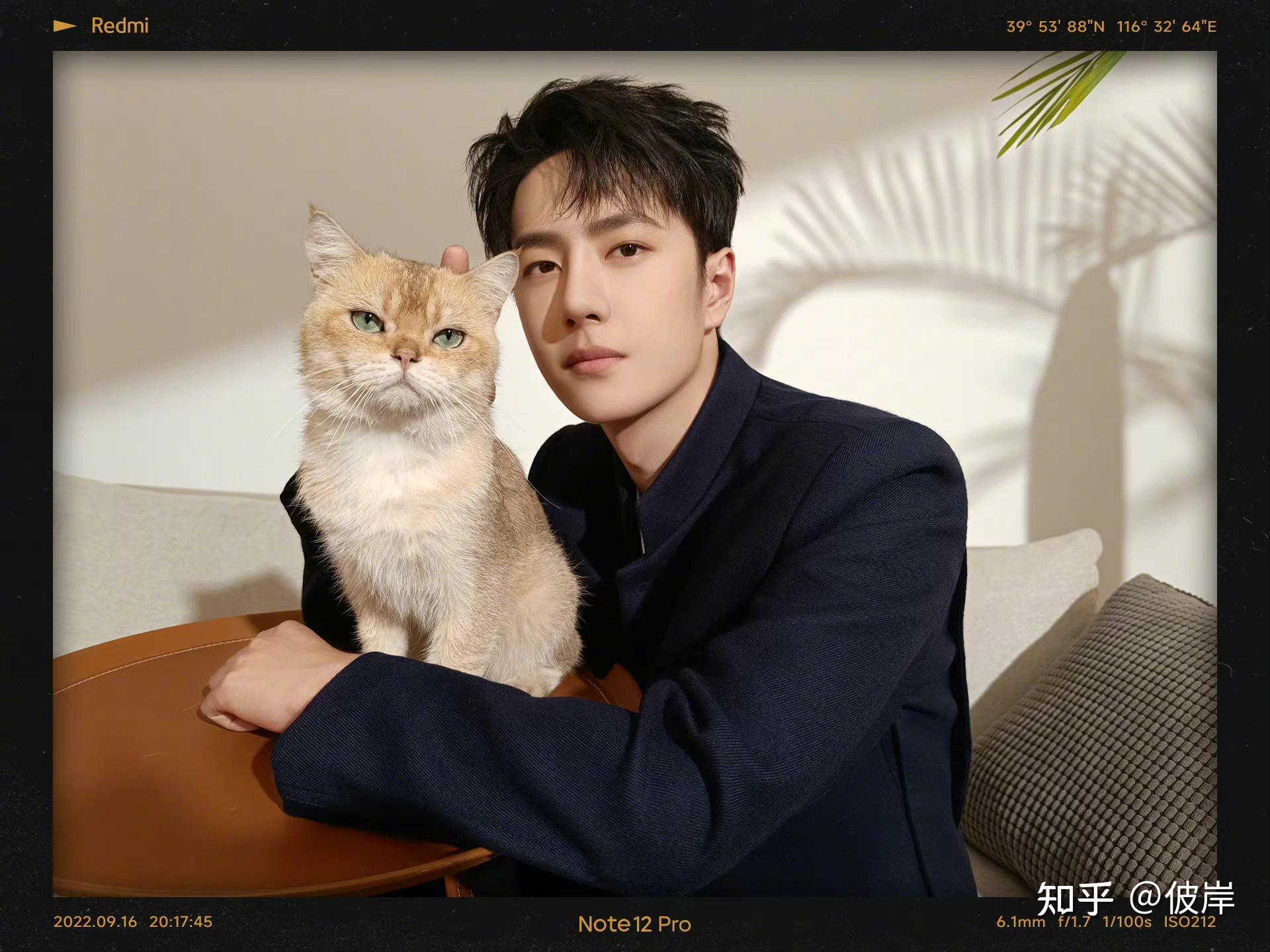 如何看待 redmi 发布了王一博与橘猫的合影? - 知乎