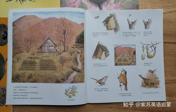 《山居鸟日记》(鸟类)