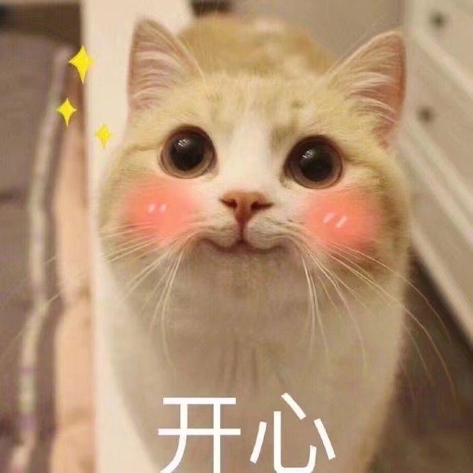 有哪些一见就笑得猫猫表情包