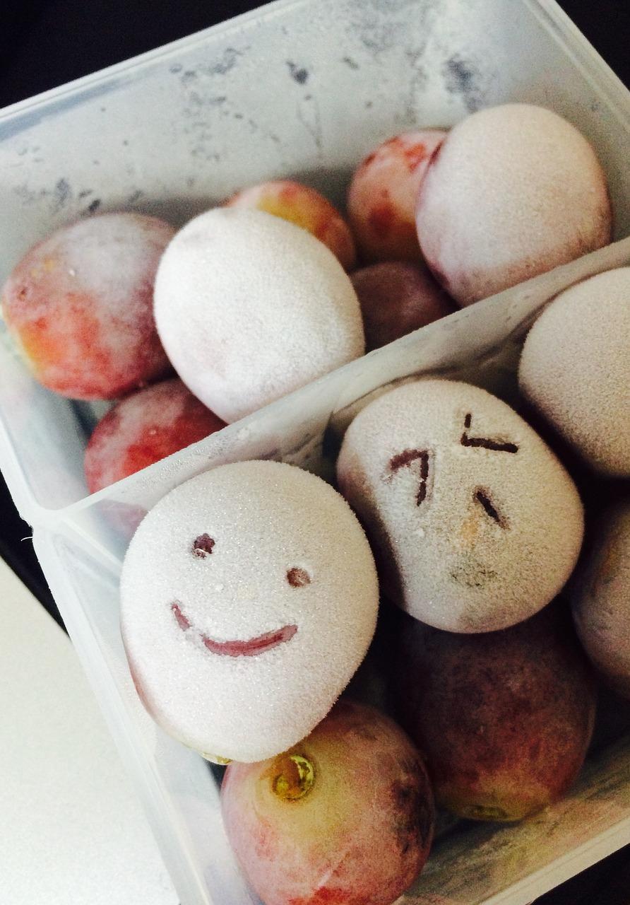 2. 密封保存技巧