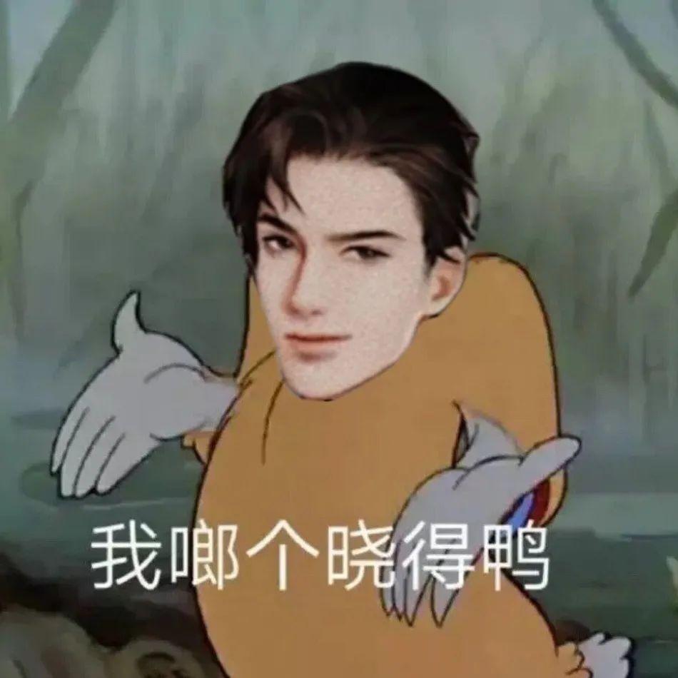 求简隋英表情包