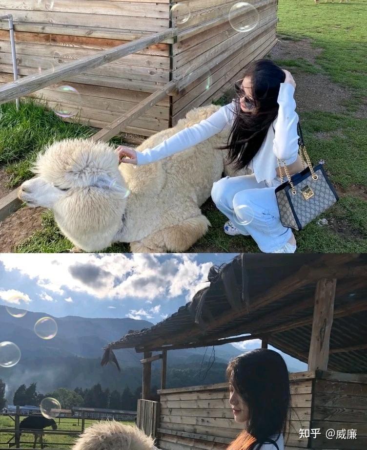 云南旅游攻略必去景点顺序，云南2人5日游大概要多少钱 - 知乎