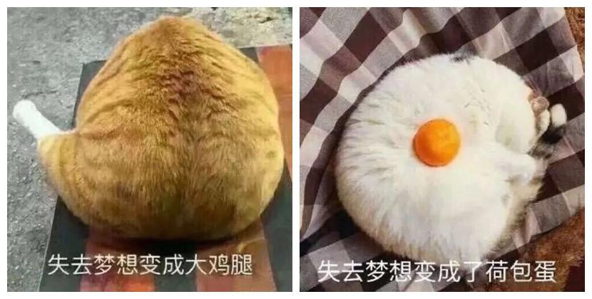 有哪些好看的情侣头像