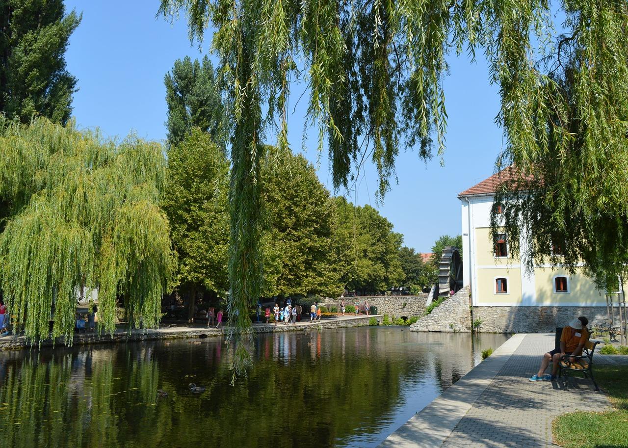 小马沟生态公园在哪里