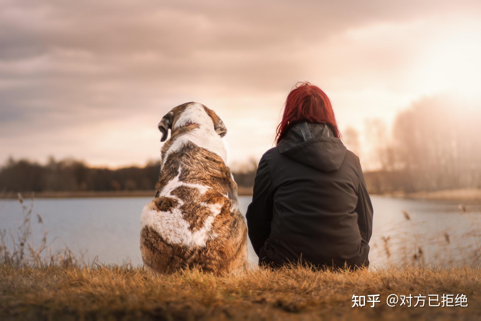 通透的人生感悟有哪些 通透的人生感悟详情分析