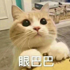 流光易抛