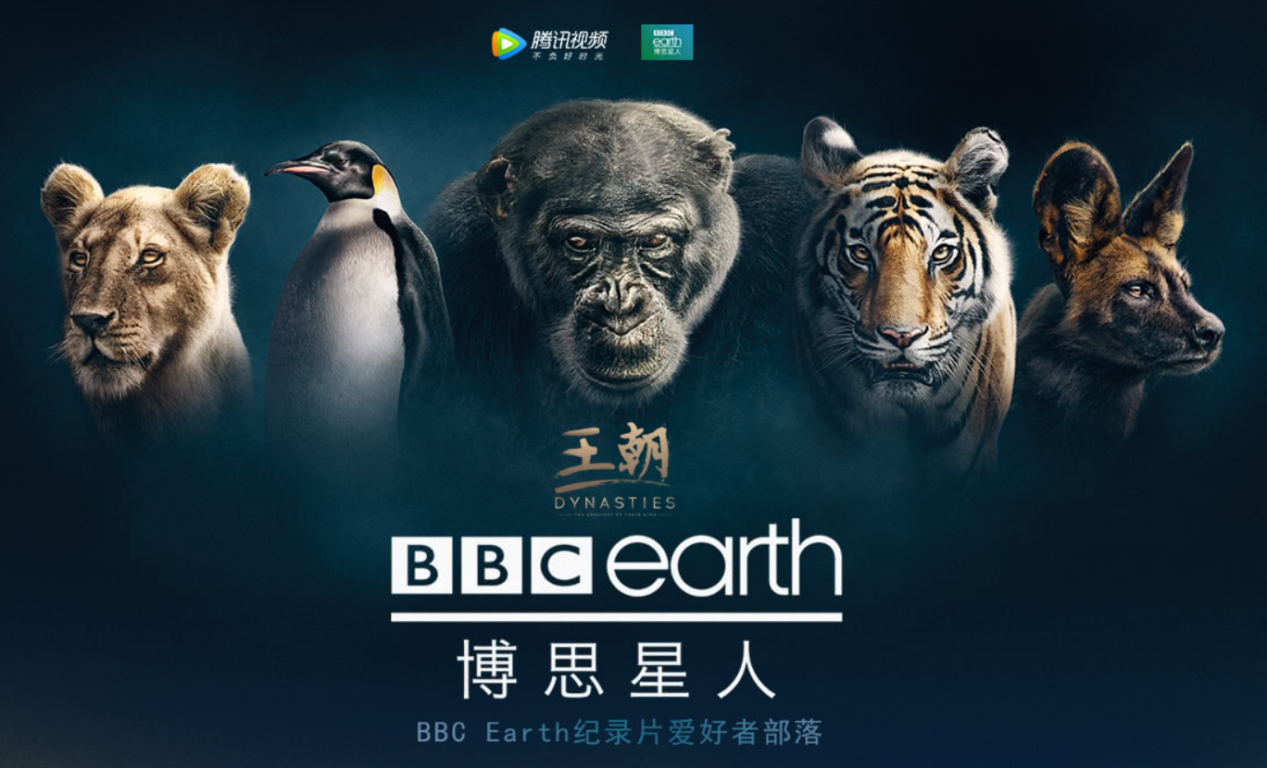 如何评价bbc与腾讯视频合作推出的自然类纪录片王朝dynasties