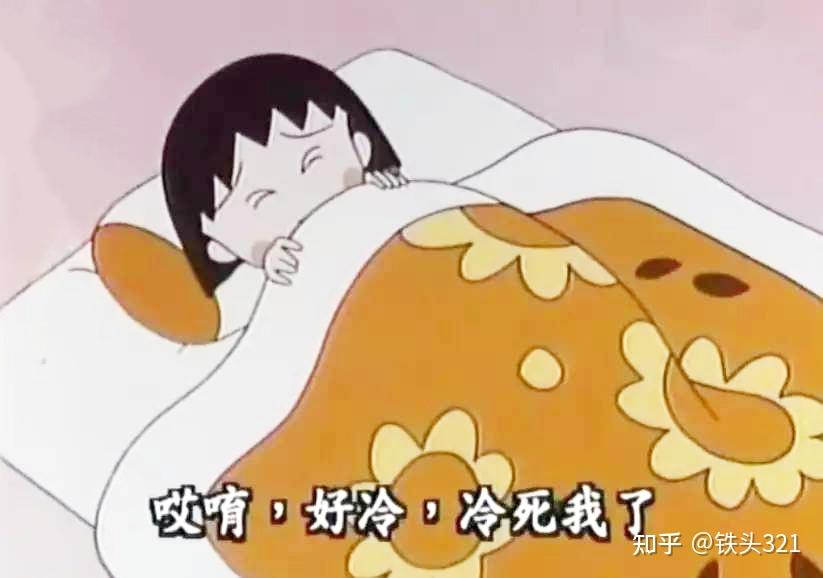 哪个牌子的电热毯比较好
