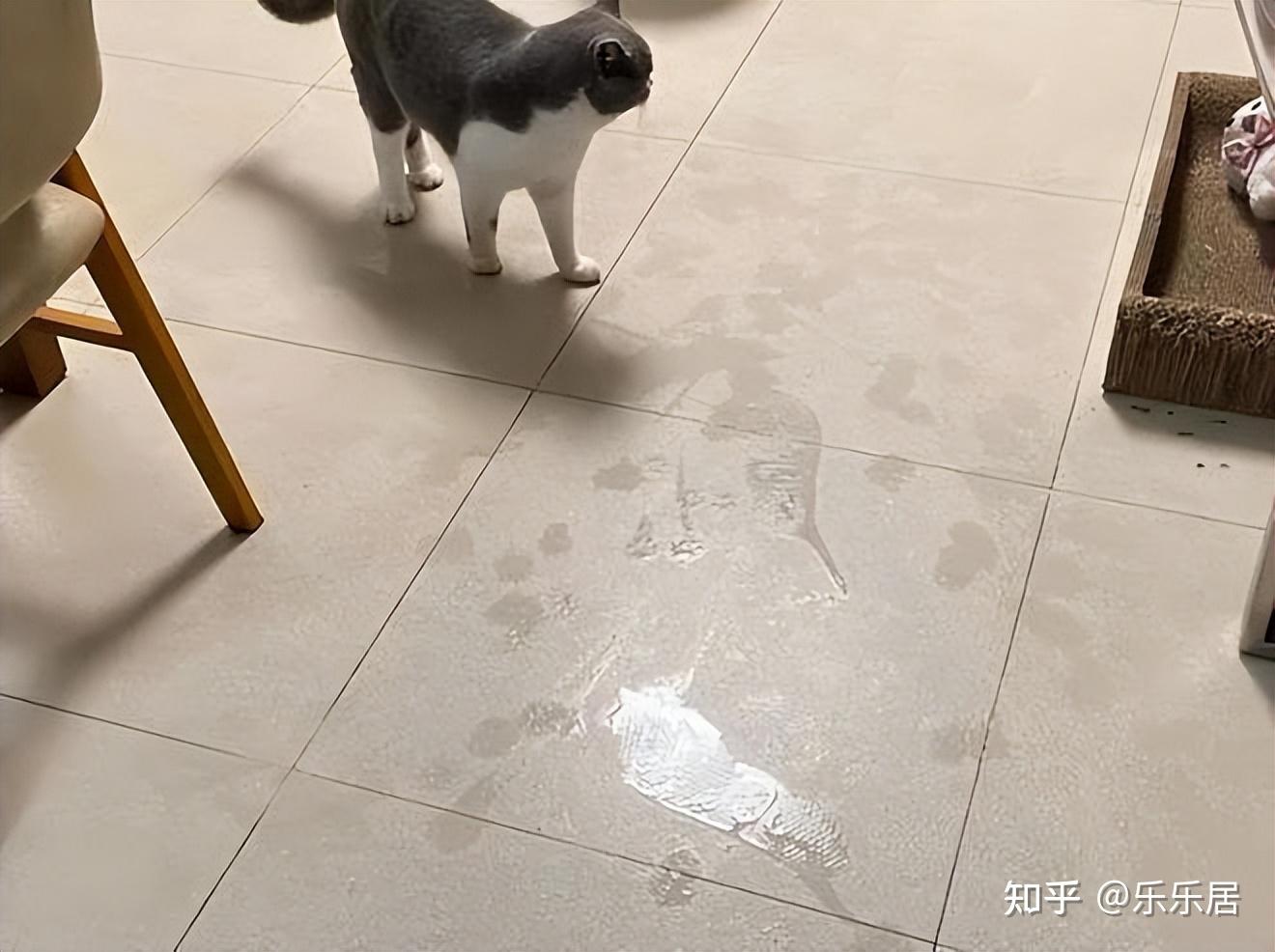潮湿天气是开窗好还是不开窗好？家里如何除湿？教你正确方法！ - 知乎