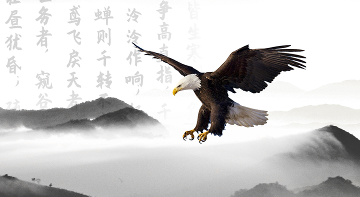 剧本杀测评| 鸢飞戾天- 知乎