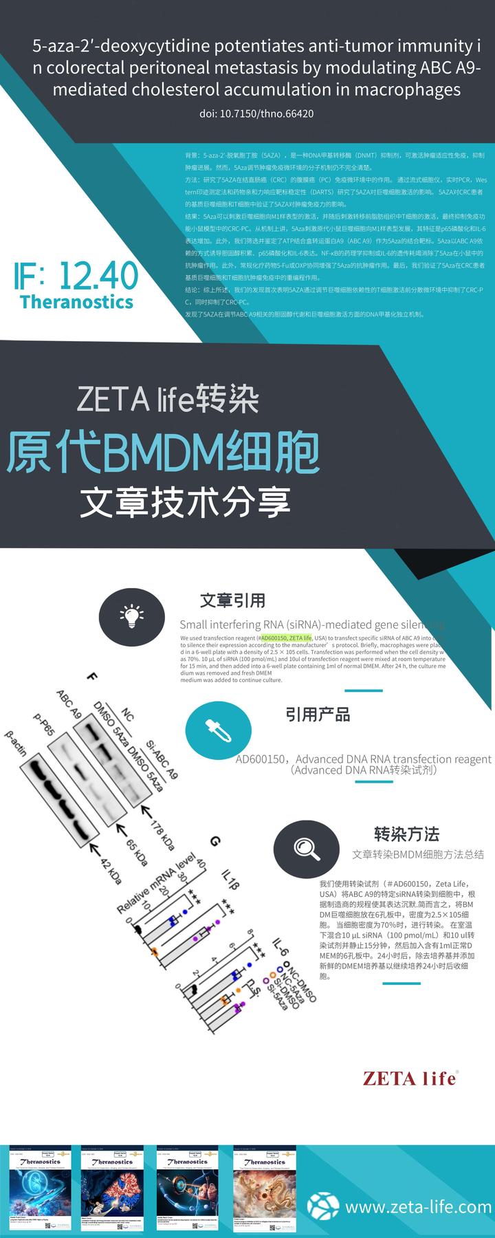 转染原代BMDM细胞技术分享 - 知乎