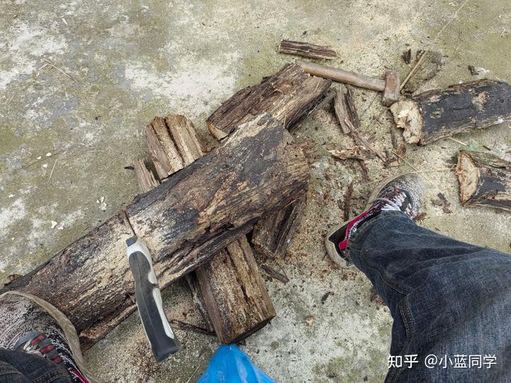 人，可以废物到什么程度？