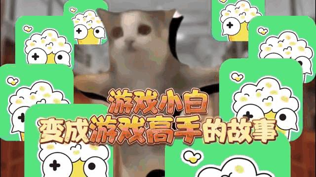 猫meme“入侵”游戏买量素材,还可以这么玩? - 知乎