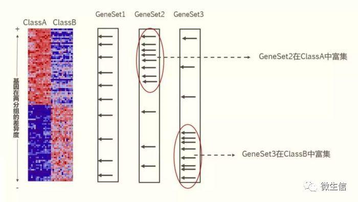 ClusterProfiler在线基因集富集分析，支持自定义基因集、任意物种 - 知乎