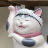 Rounded avatar