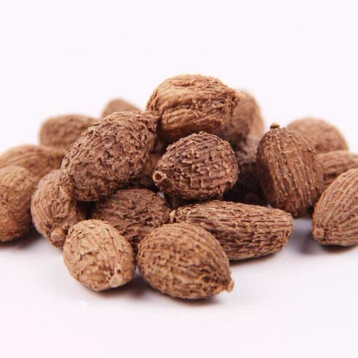 芳香植物-----砂仁 - 知乎