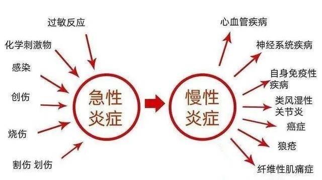 身体炎症自测:六种慢性炎症的表现 - 知乎
