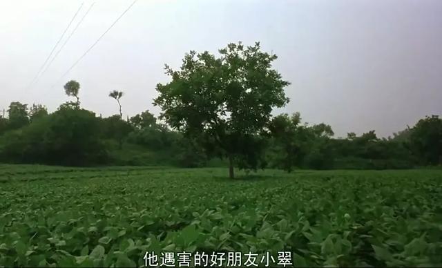 大块头有大智慧有谁看懂了