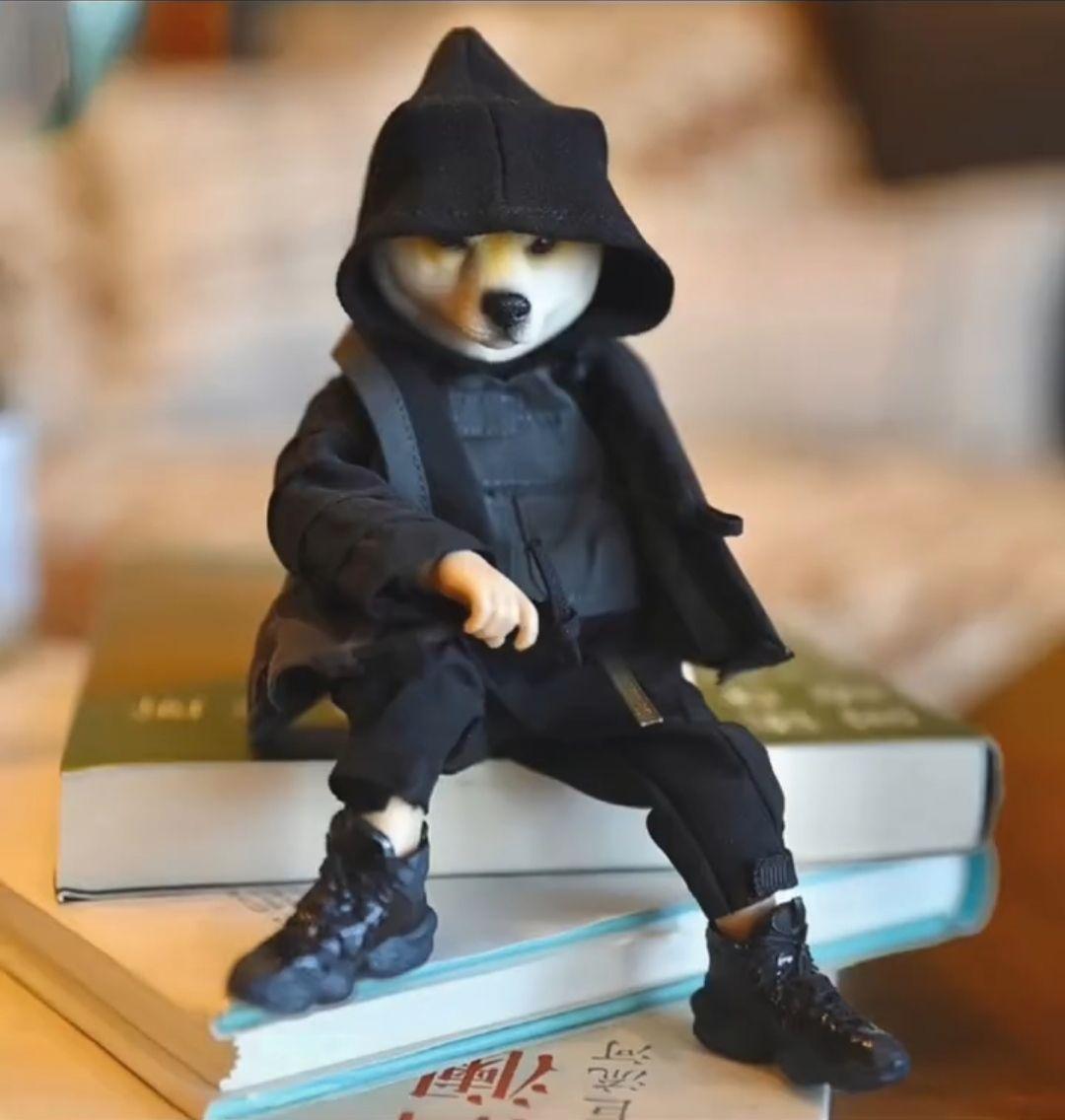 知乎大神有没有跟这个类似的柴犬穿衣服的头像? - 知乎