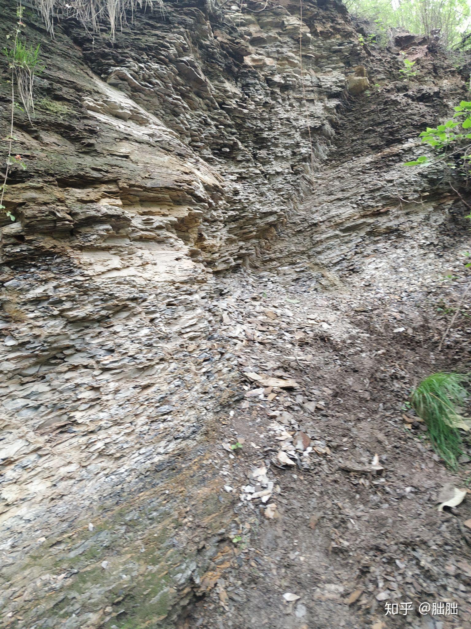 这种的片状岩石学名是什么