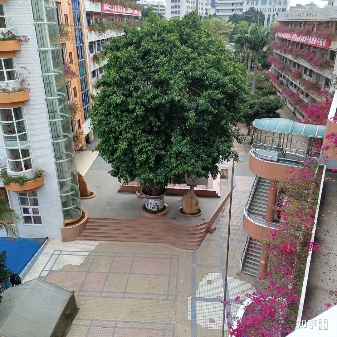 将要在岭南师范学院附属中学上高中我想问几个问题有足球场吗一个宿舍