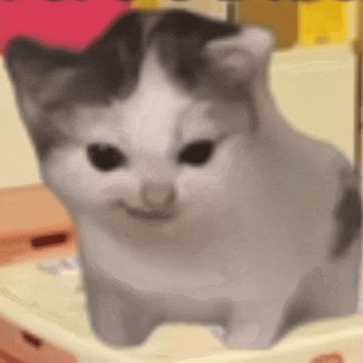 网红猫meme表情包第一弹(震惊猫) - 知乎