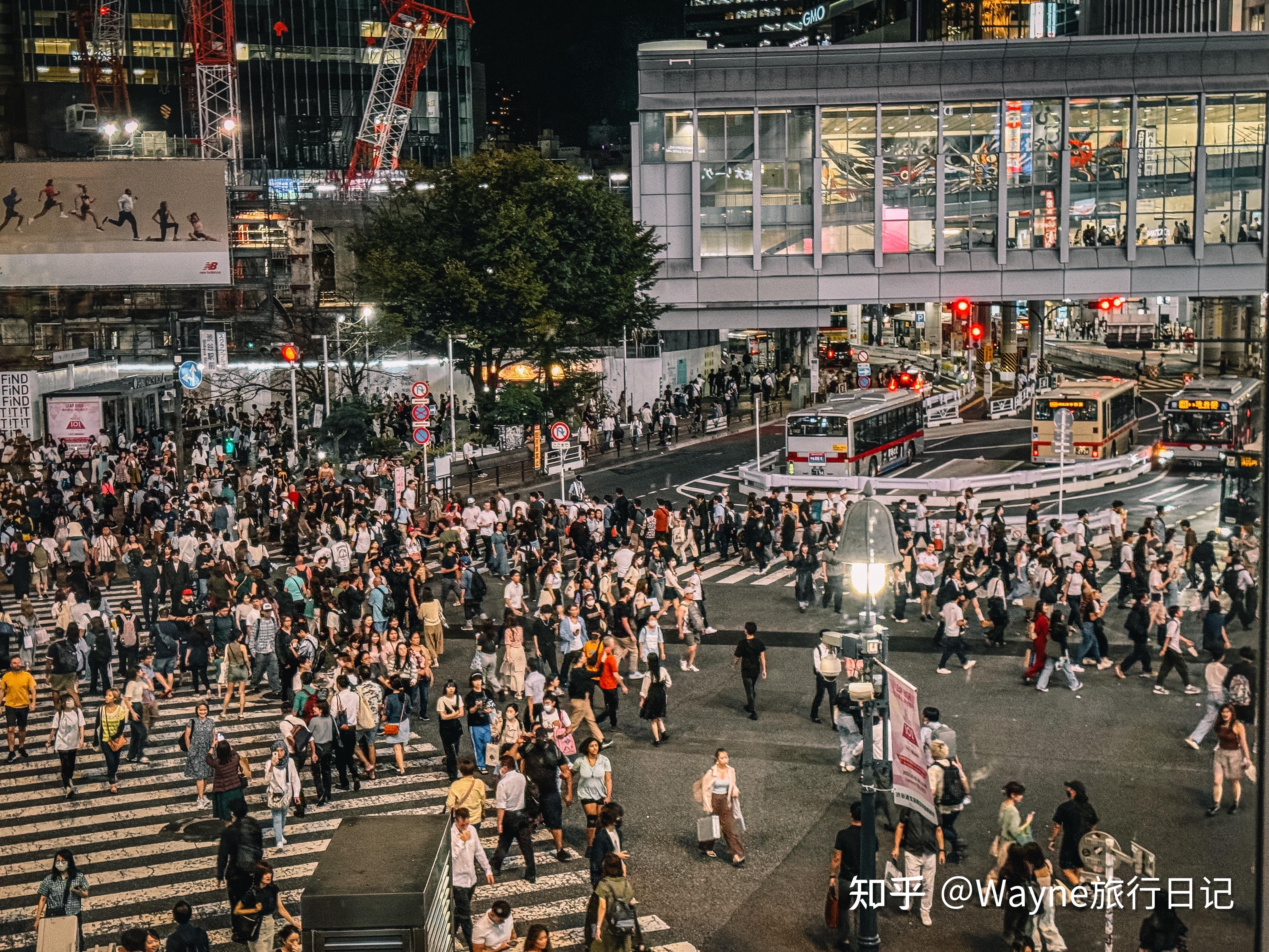 东京涩谷十字路口图片