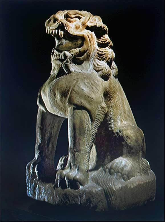 只听说非洲狮与美洲狮从来就没有听过亚洲狮但是中国的狮文化却源远流