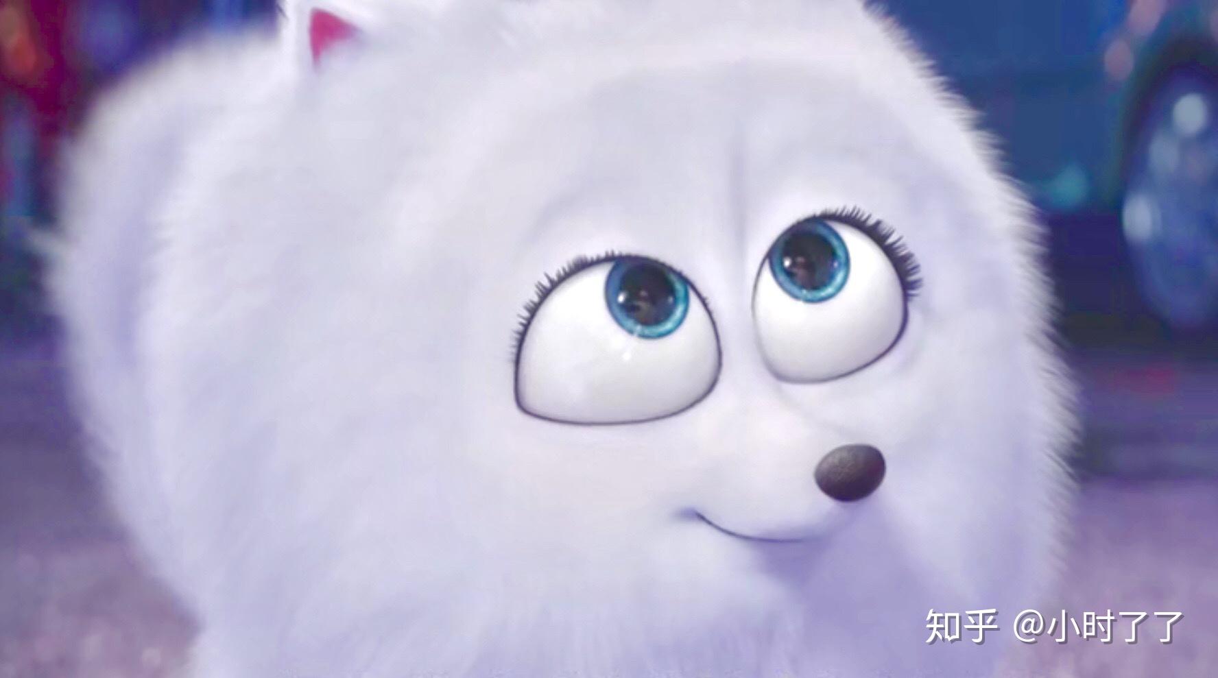 求《爱宠大机密》小白狗啾啾的头像? - 知乎