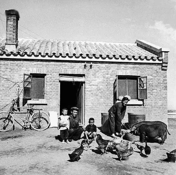 影像记录：上个世纪50年代百姓的生活 - 知乎