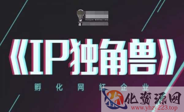 孵化网红企业IP_wwz