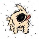 Zhihu profile picture for @spectra