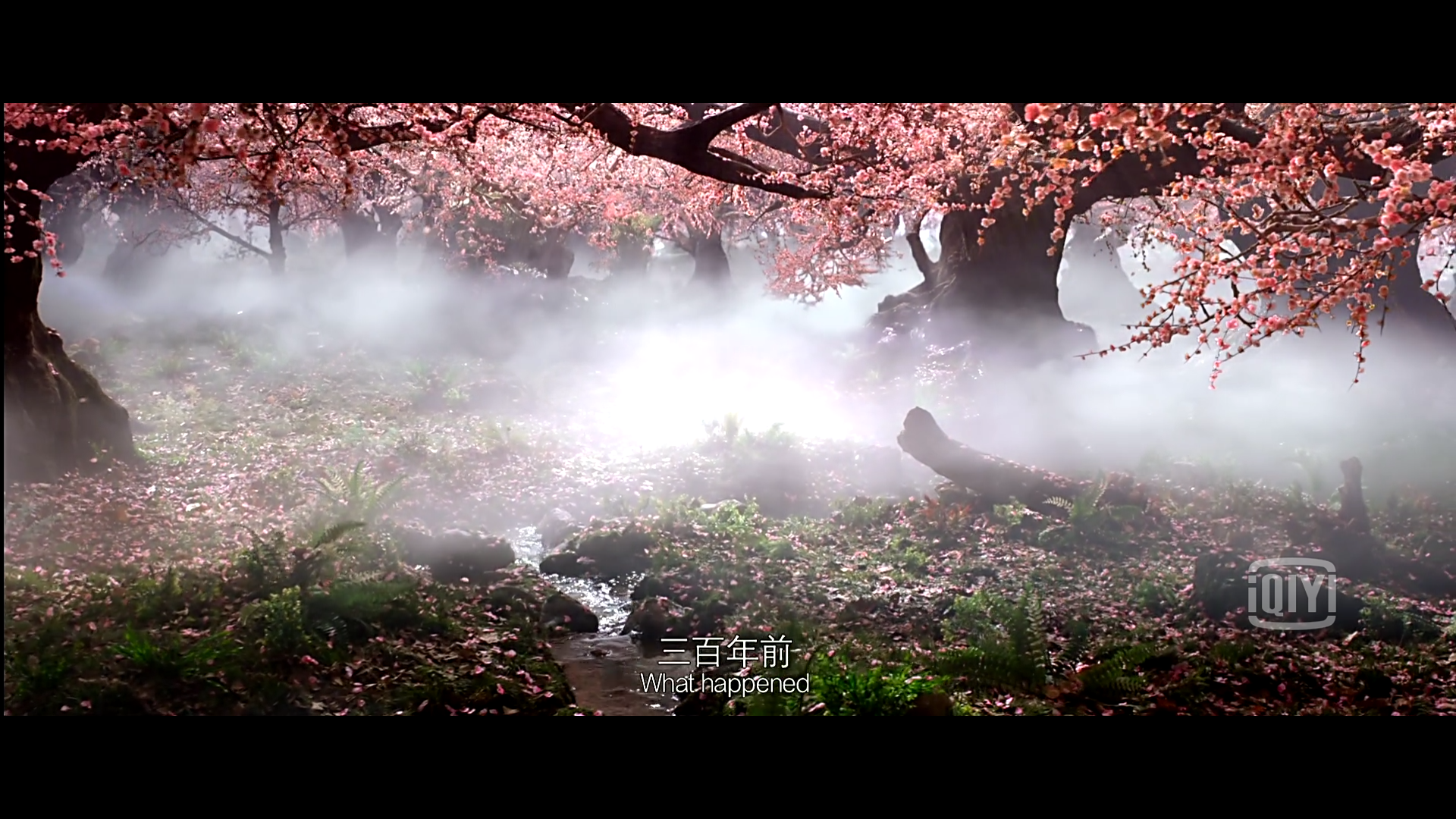 电影三生三世十里桃花里有哪些不易发现的细节