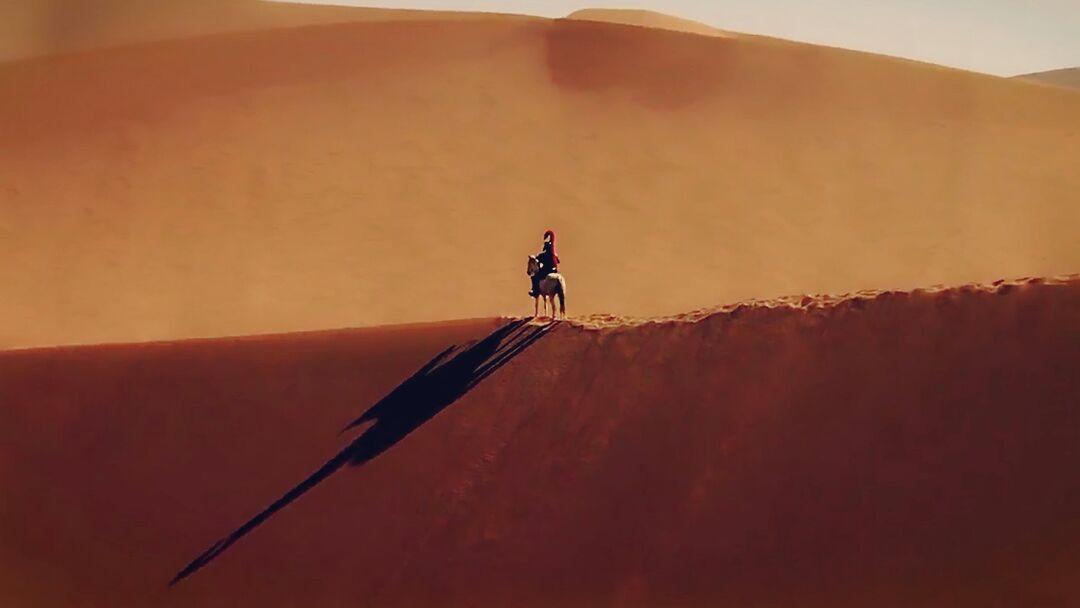 如何评价电影坠入thefall