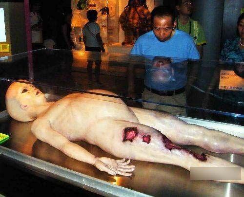 为什么人对外星人的想象都脱离不了人类本身的形象?