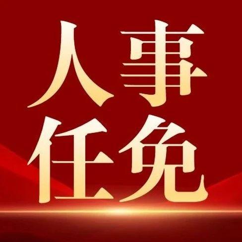 任免是什么意思图片