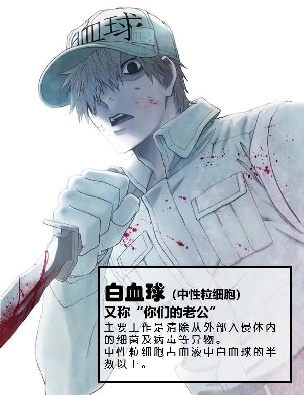 想知道中性粒细胞的直径有多大吗想知道新冠病毒的基