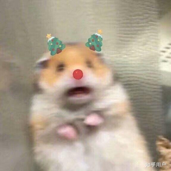 有没有缩在角落里的吃惊仓鼠表情包? - 知乎