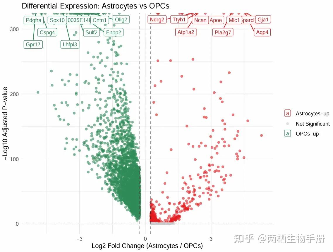 2026版单细胞测序scRNA-seq入门实战（八）：差异基因筛选与GO/KEGG富集可视化 - 知乎