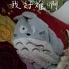 送礼物用户