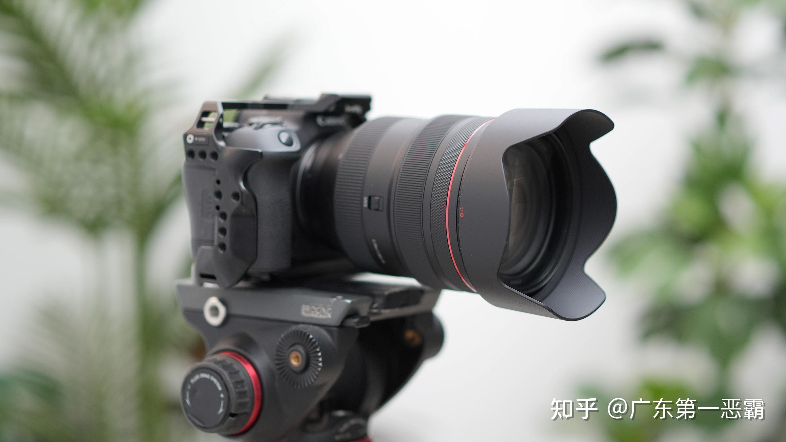 佳能rf28-70为什么不受欢迎? - 知乎