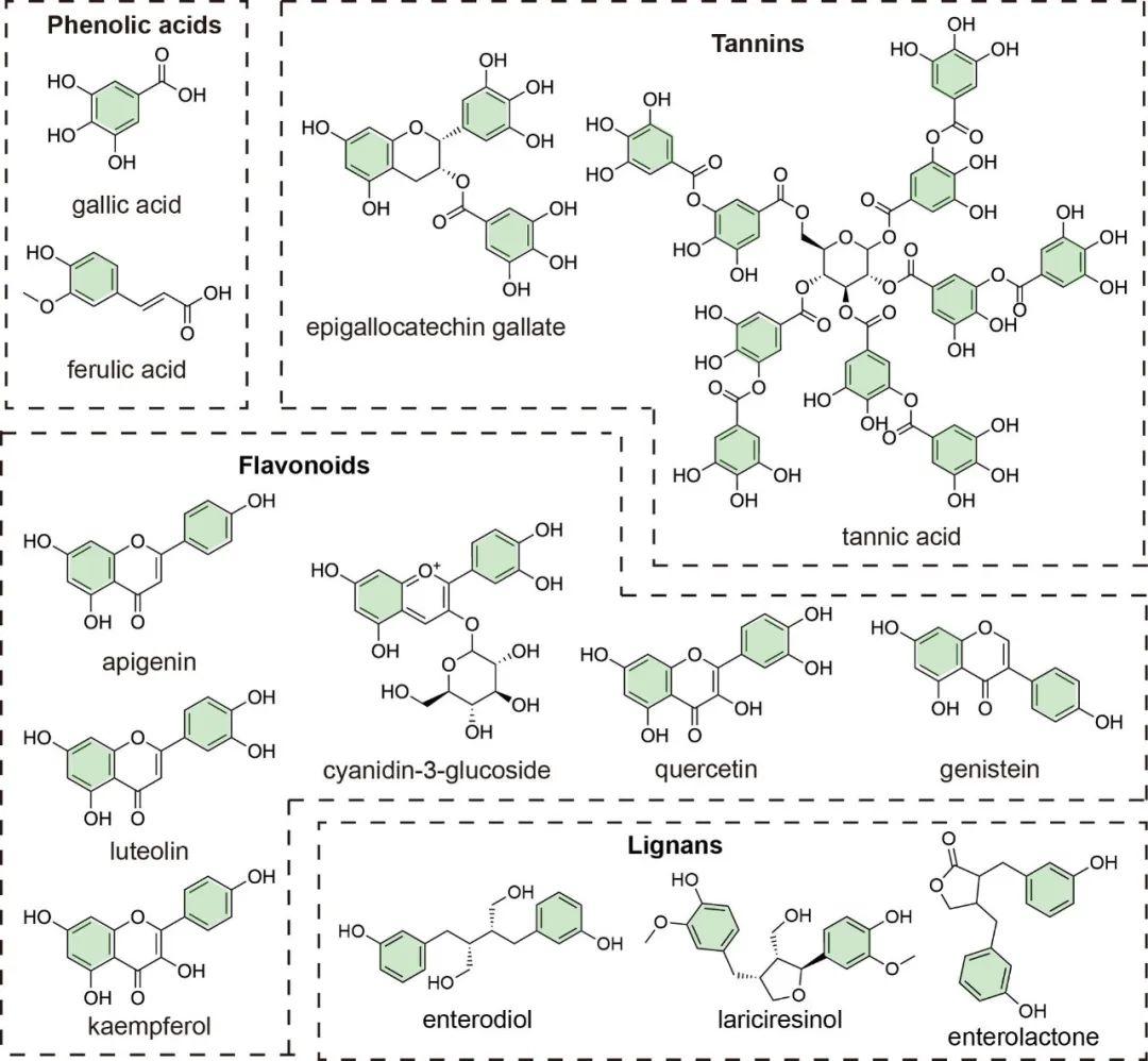 【Angew.Chem.Int.Ed.】抗菌酚醛材料:从组装到功能-墨尔本大学Frank Caruso教授 - 知乎