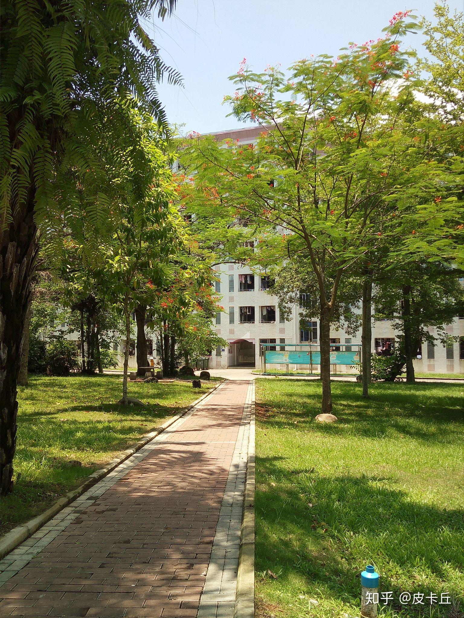 海南大学儋州校区图片