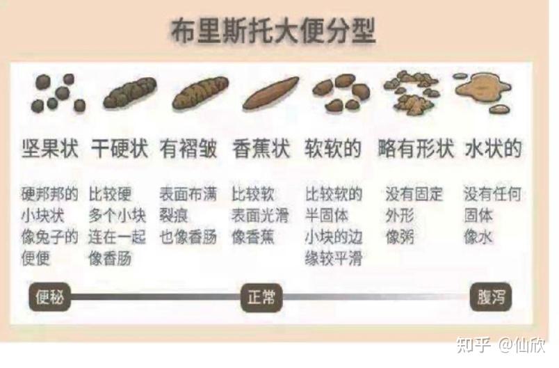 2岁宝宝正常的大便应该是什么样的?